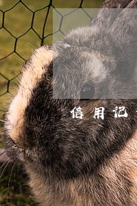 信用记录逾期征信一直保留吗 信用记录逾期征信一直保留吗