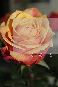 信用记录逾期的具体时间 信用记录逾期的具体时间