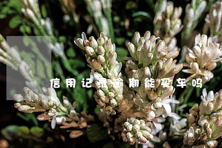 信用记录逾期能买车吗 信用记录逾期能买车吗