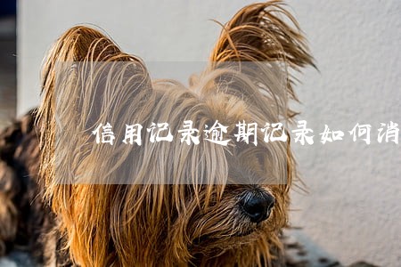 信用记录逾期记录如何消除 信用记录逾期记录如何消除