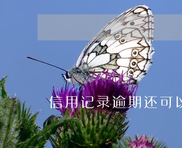 信用记录逾期还可以办信用卡吗