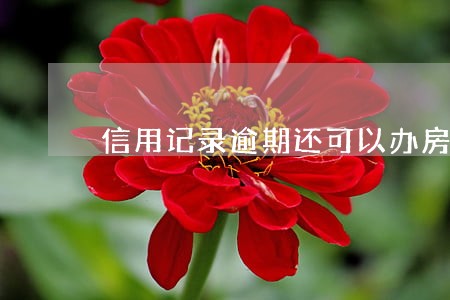 信用记录逾期还可以办房贷吗 信用记录逾期还可以办房贷吗