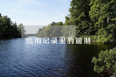 信用记录里的逾期