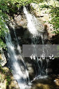 信用记录里面会显示你有逾期 信用记录里面会显示你有逾期