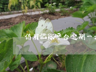 信用记账平台逾期一天 信用记账平台逾期一天