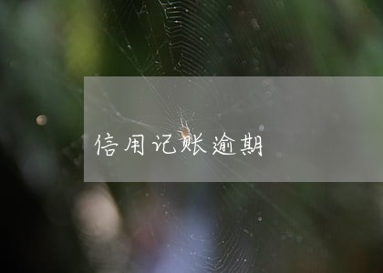 信用记账逾期 信用记账逾期