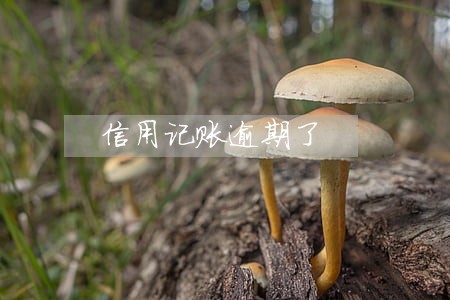 信用记账逾期了 信用记账逾期了