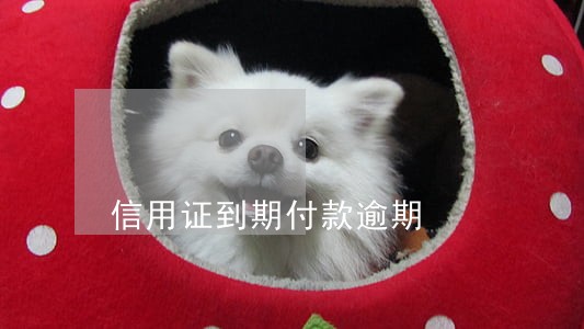 信用证到期付款逾期 信用证到期付款逾期