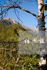 信用证垫款视同逾期贷款 信用证垫款视同逾期贷款