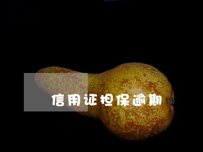 信用证担保逾期 信用证担保逾期