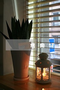 信用证欺诈的法律救济制度研究 信用证欺诈的法律救济制度研究