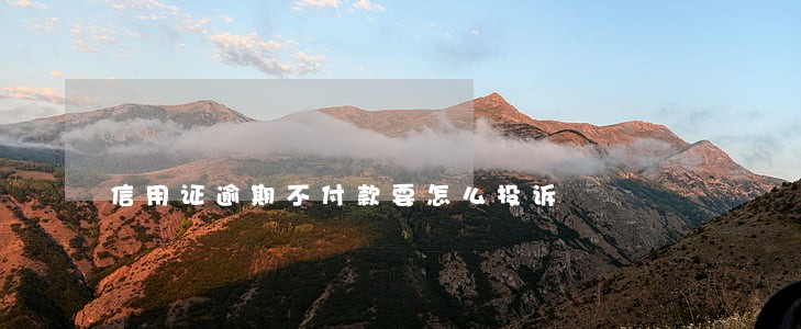 信用证逾期不付款要怎么投诉 信用证逾期不付款要怎么投诉