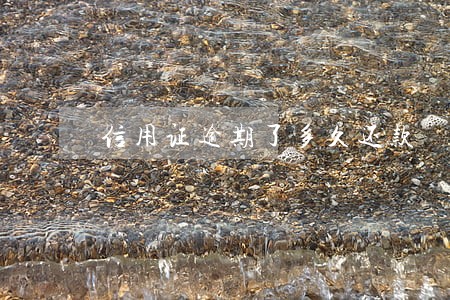 信用证逾期了多久还款 信用证逾期了多久还款