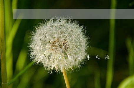 信用证逾期交单风险 信用证逾期交单风险