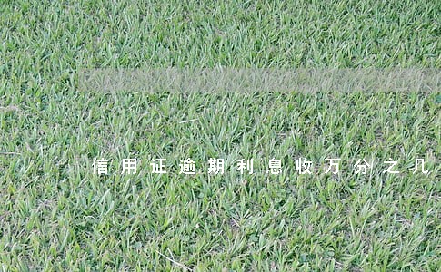 信用证逾期利息收万分之几 信用证逾期利息收万分之几