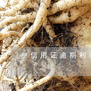 信用证逾期利率 信用证逾期利率