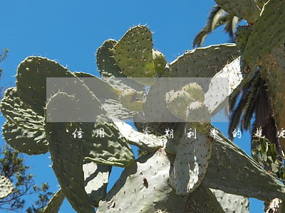 信用证逾期利率的规定 信用证逾期利率的规定