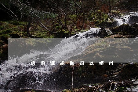 信用证逾期可以拒付
