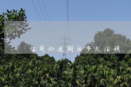 信用证逾期后多久注销 信用证逾期后多久注销
