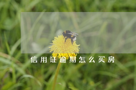 信用证逾期怎么买房 信用证逾期怎么买房