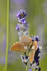 信用证逾期还能收到钱吗 信用证逾期还能收到钱吗