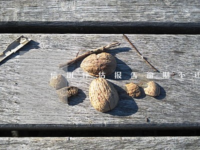 信用评估报告逾期不还 信用评估报告逾期不还