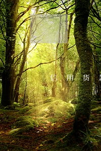 信用货款逾期了 信用货款逾期了