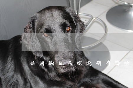 信用购机花呗逾期有影响么 信用购机花呗逾期有影响么