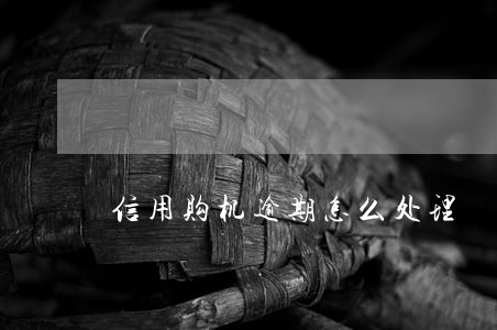 信用购机逾期怎么处理 信用购机逾期怎么处理