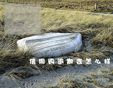 信用购逾期会怎么样 信用购逾期会怎么样