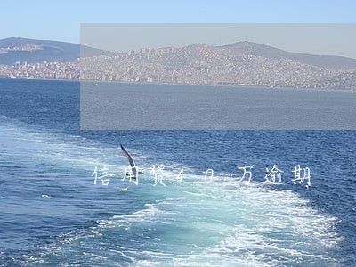 信用贷40万逾期