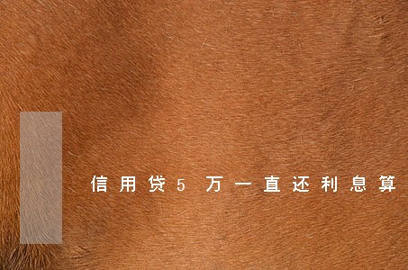 信用贷5万一直还利息算逾期嘛 信用贷5万一直还利息算逾期嘛