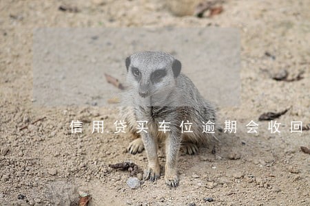 信用贷买车位逾期会收回车位吗 信用贷买车位逾期会收回车位吗