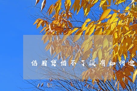 信用贷借不了没有如何逾期 信用贷借不了没有如何逾期