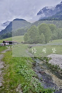 信用贷全面逾期 信用贷全面逾期