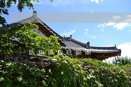 信用贷利息逾期 信用贷利息逾期