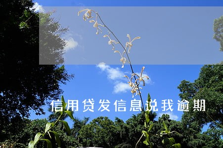 信用贷发信息说我逾期