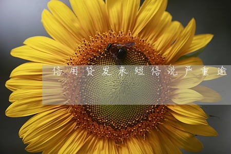信用贷发来短信说严重逾期 信用贷发来短信说严重逾期