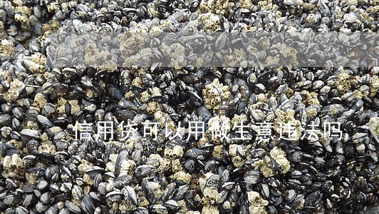 信用贷可以用做生意违法吗 信用贷可以用做生意违法吗
