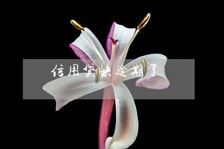 信用贷快逾期了 信用贷快逾期了