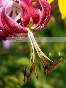 信用贷怎样算逾期 信用贷怎样算逾期
