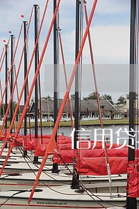信用贷指的是信用卡逾期 信用贷指的是信用卡逾期