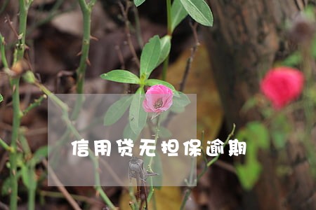 信用贷无担保逾期 信用贷无担保逾期