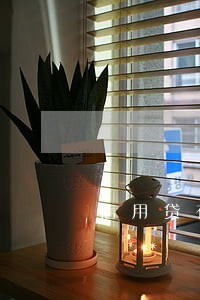 信用贷有一次还款逾期