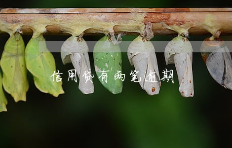 信用贷有两笔逾期 信用贷有两笔逾期