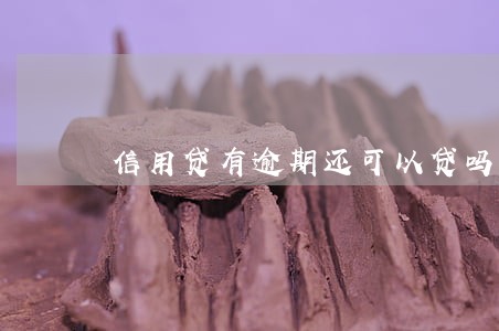信用贷有逾期还可以贷吗