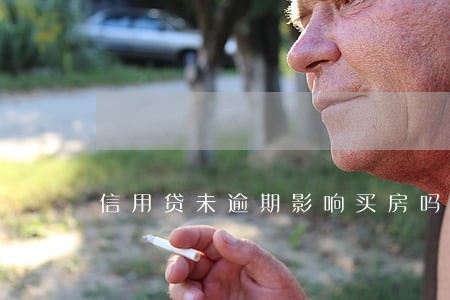 信用贷未逾期影响买房吗 信用贷未逾期影响买房吗