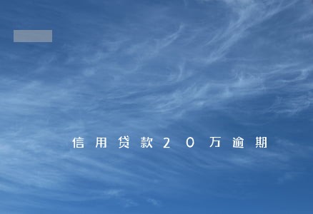信用贷款20万逾期