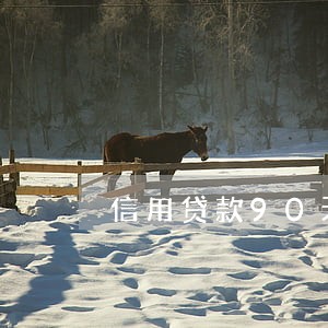 信用贷款90天以上逾期 信用贷款90天以上逾期