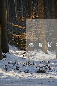 信用贷款余额逾期金额 信用贷款余额逾期金额